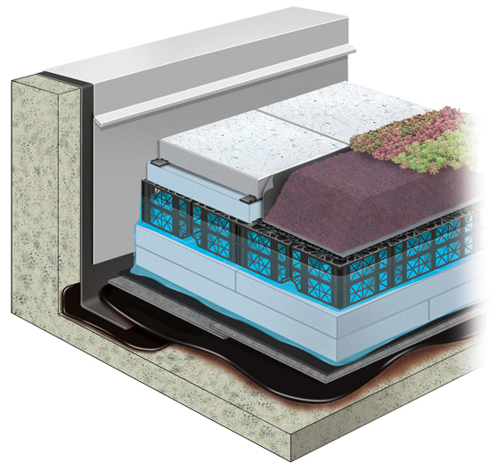 Toiture à Membrane Protégée: Toiture bleue