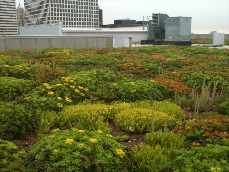 Système Garden Roof