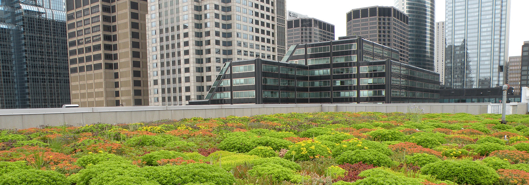 garden roof