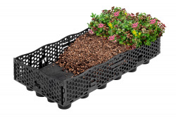 garden tray