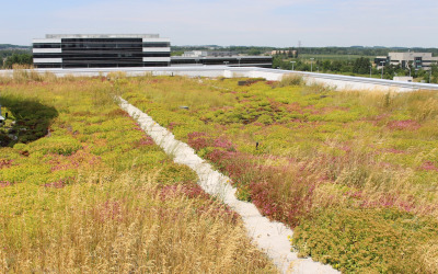 Accelerator Center - University of Waterloo