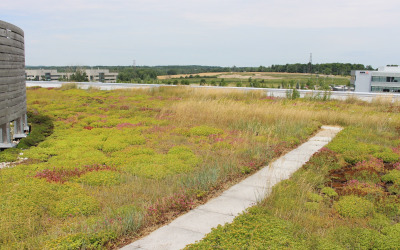 Accelerator Center - University of Waterloo