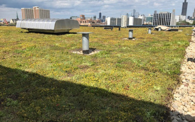 Extensive Garden Roof Assembly