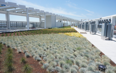 garden roof