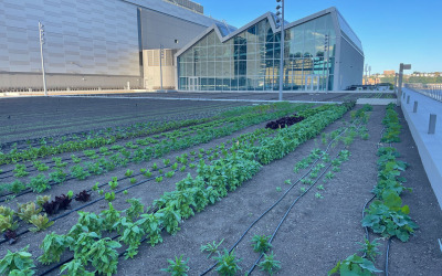 Javits Center